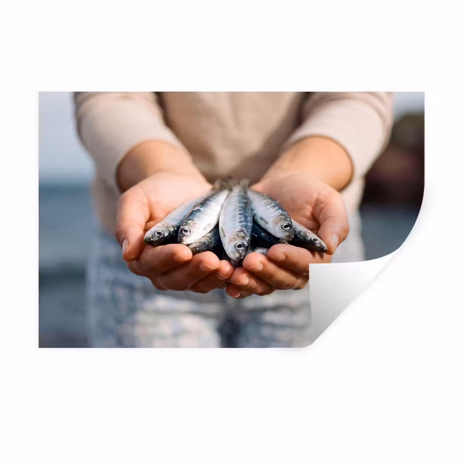 Wall Sticker - Fish - Hands - Nature - Vis - Handen - Natuur Muursticker klein
