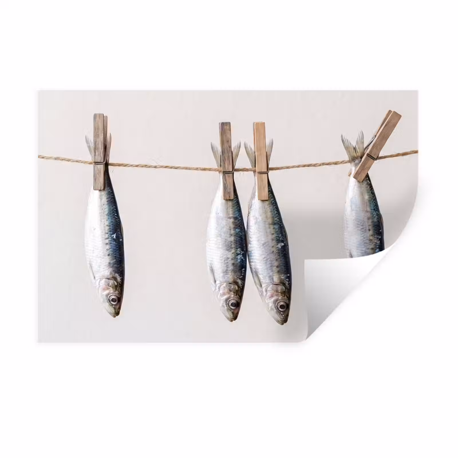 Wall Sticker - Fish - Hanging - Food - Vis - Hangend - Eten Muursticker klein
