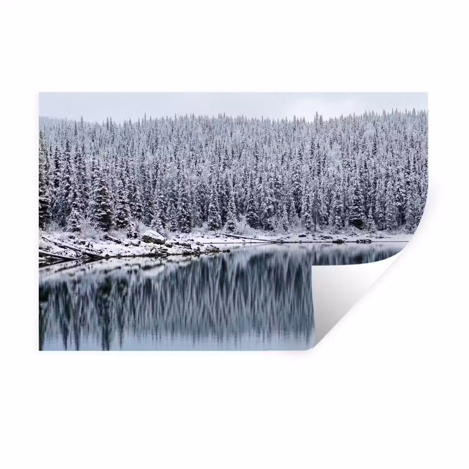 Bos - Reflectie - Meer - Winter - Serene Muursticker klein -3d