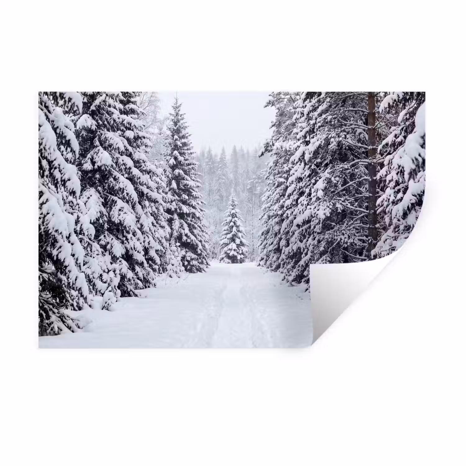 Bos - Winter - Sneeuw - Pad - Natuur Muursticker klein -3d