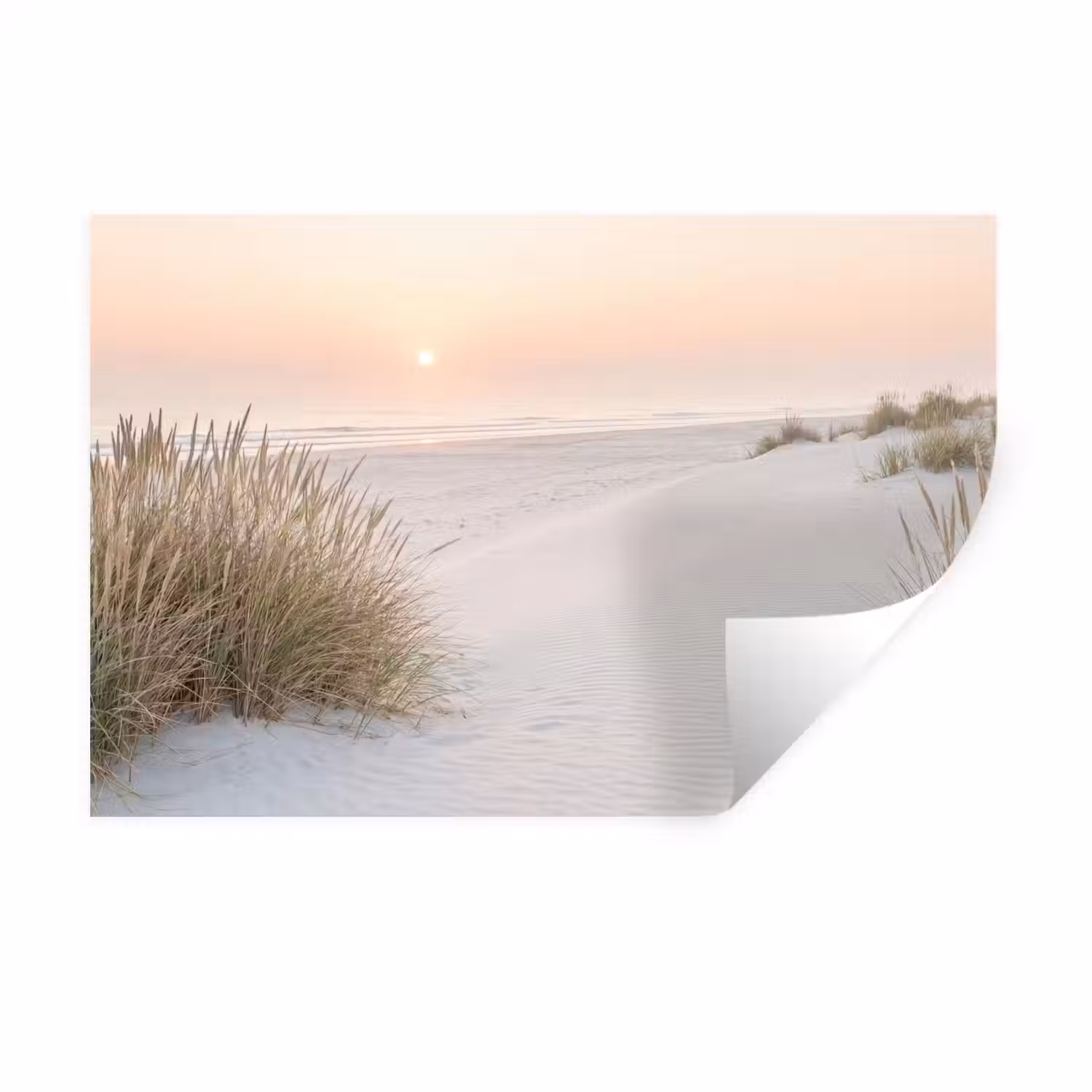 Horizon - Duinlandschap - Zand Muursticker klein -3d