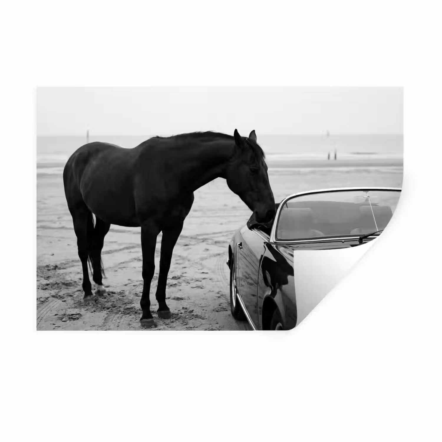 Paard - Auto - Zwart - Wit Muursticker klein -3d