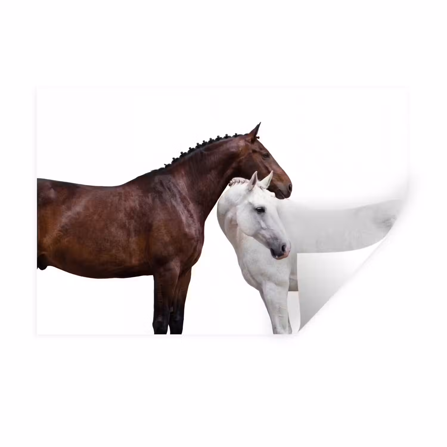 Paard - Modern - Balans Muursticker klein -3d
