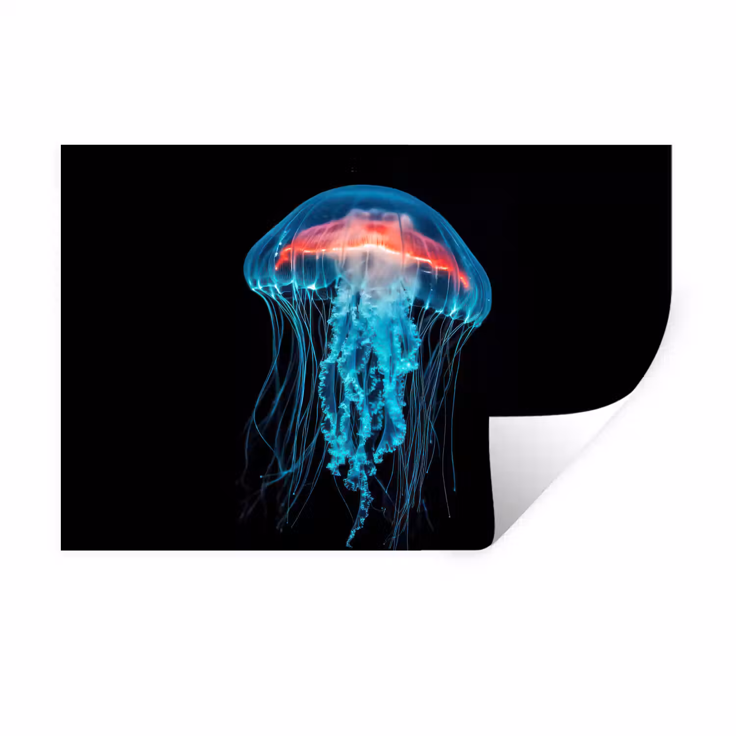 Kwal - Tentakels - Blauw - Licht Muursticker klein -3d