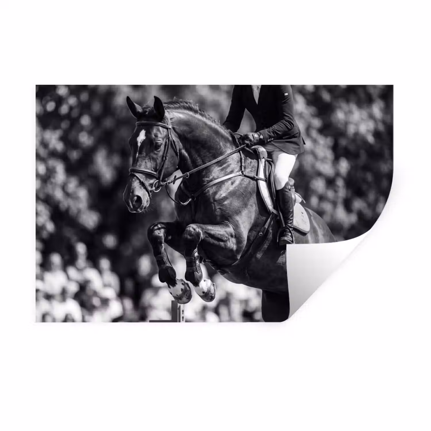 Springen - Paard - Zwart - Wit Muursticker klein -3d