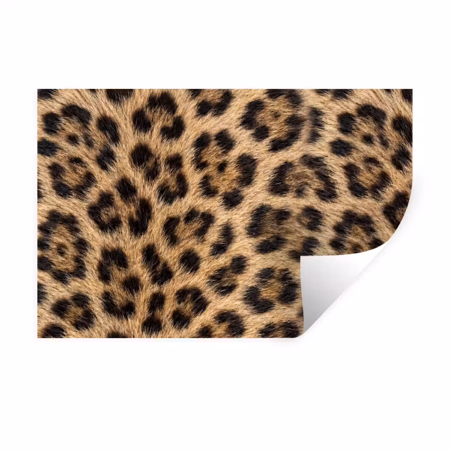 Luipaard - Vacht - Klassiek - Bruin Muursticker klein -3d