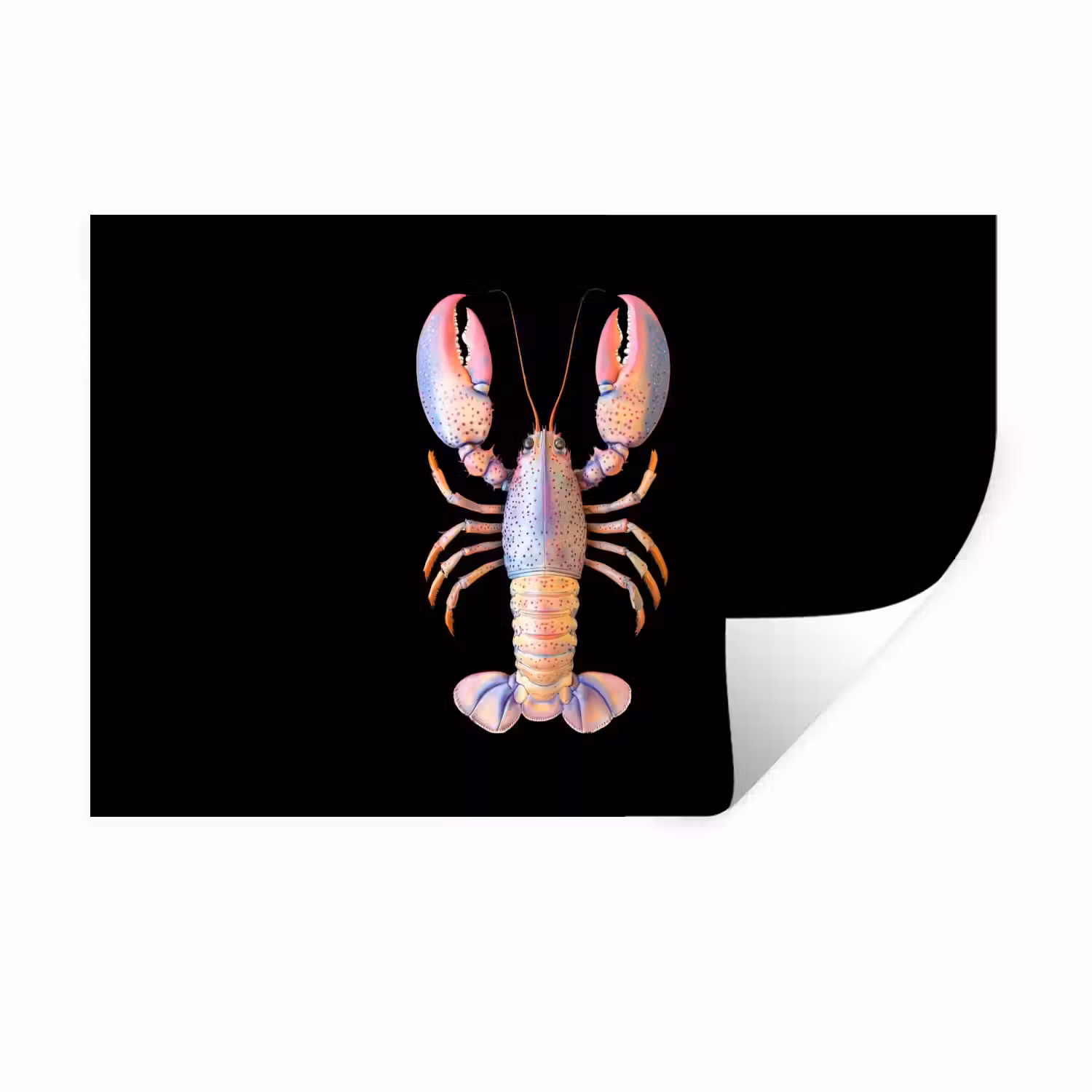 Kreeft - Roze - Zacht - Zwart Muursticker klein -3d