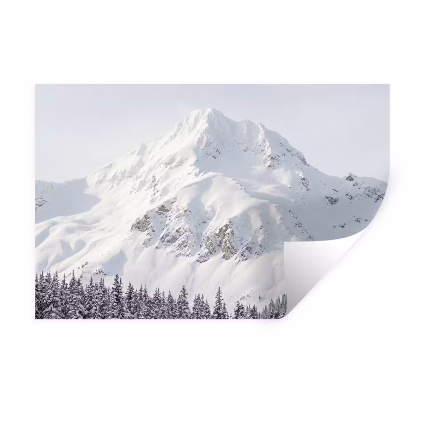 Berg - Sneeuw - Winter - Natuur - Wit Muursticker klein -3d