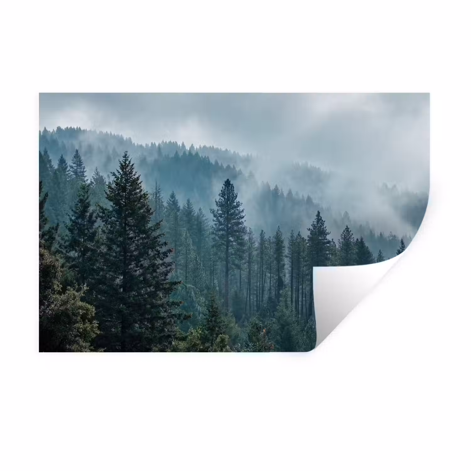 Naaldwoud - Bergen - Mist Muursticker klein -3d
