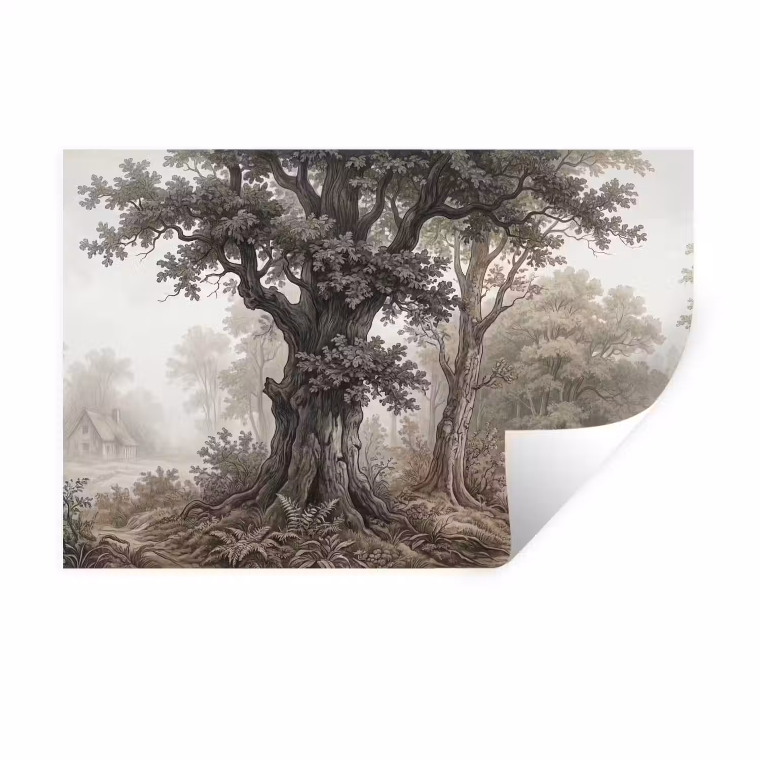 Natuur - Bos - Eik Muursticker klein -3d