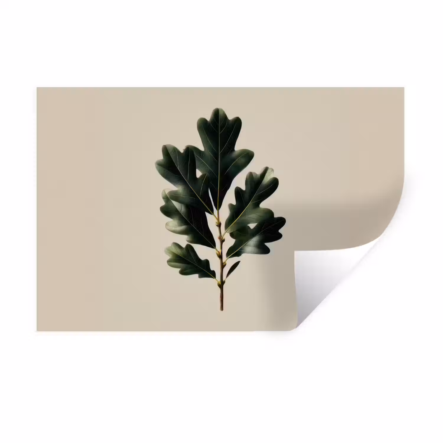 Eikenbladeren - Beige - Groen - Golvende randen Muursticker klein -3d