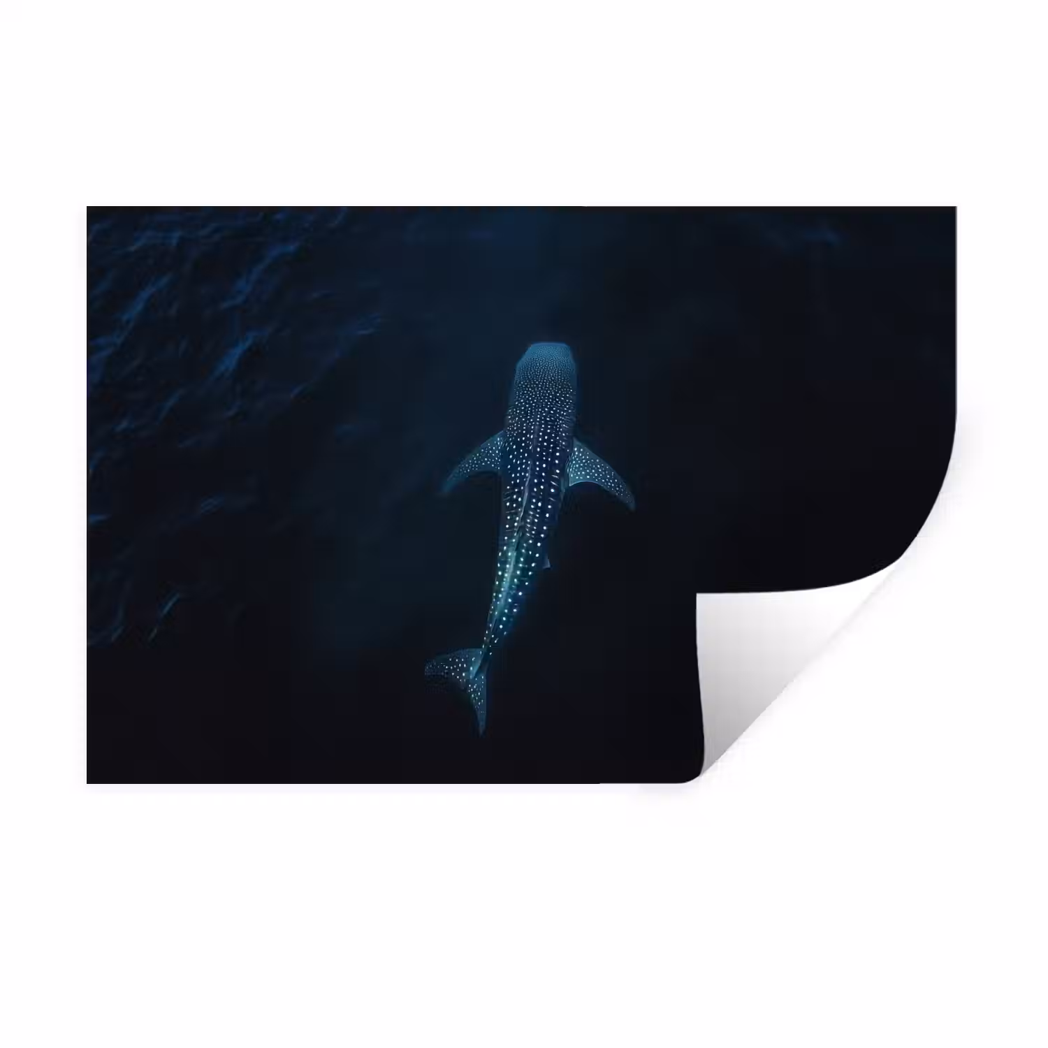 Oceaan - Walvishaai - Donkerblauw - Vlekken Muursticker klein -3d