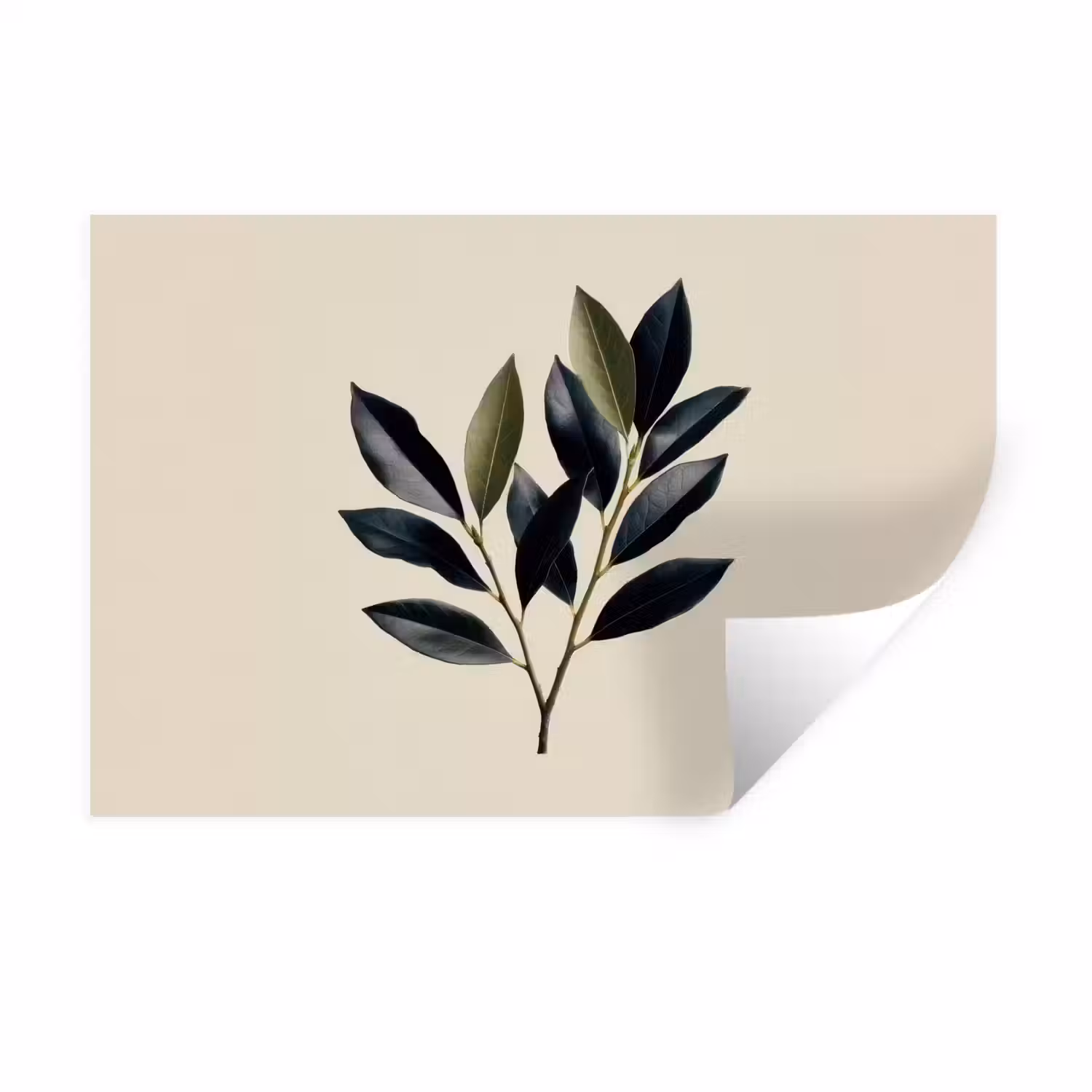 Ovaal - Olijfgroen - Simpel Muursticker klein -3d