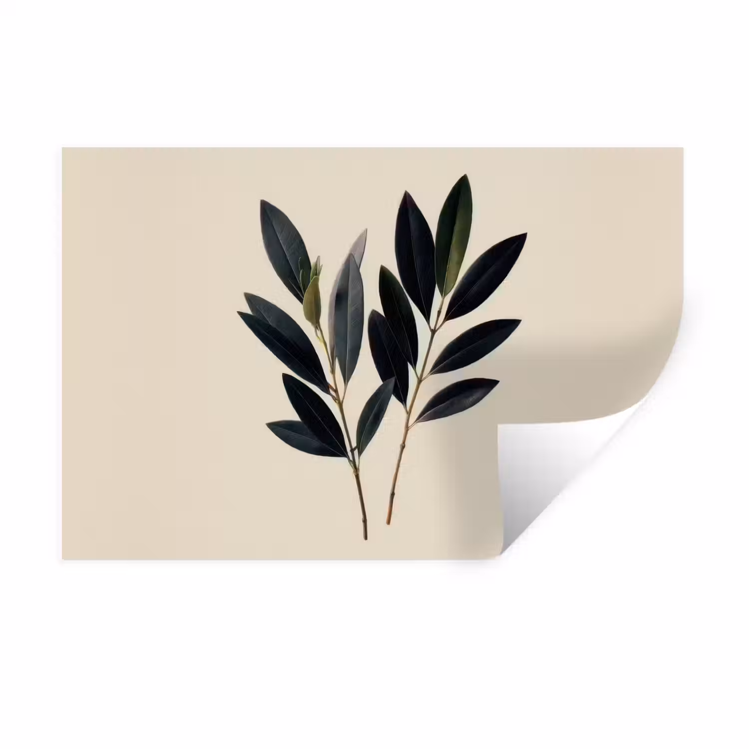 Ovaalvormige bladeren - Diep groen - Symmetrisch Muursticker klein -3d