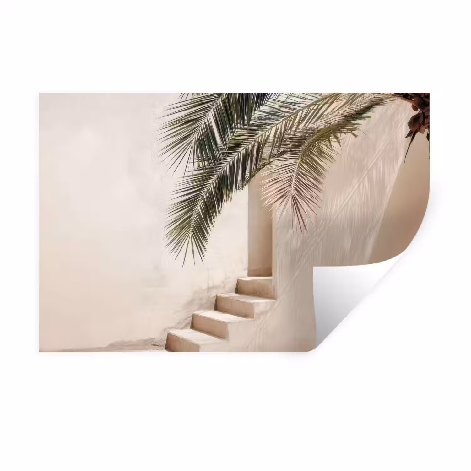 Palmboom - Schaduw - Trap - Beige Muursticker klein -3d