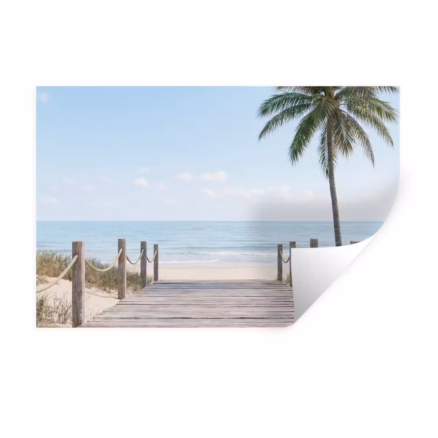 Palmbomen - Pad - Horizon Muursticker klein -3d