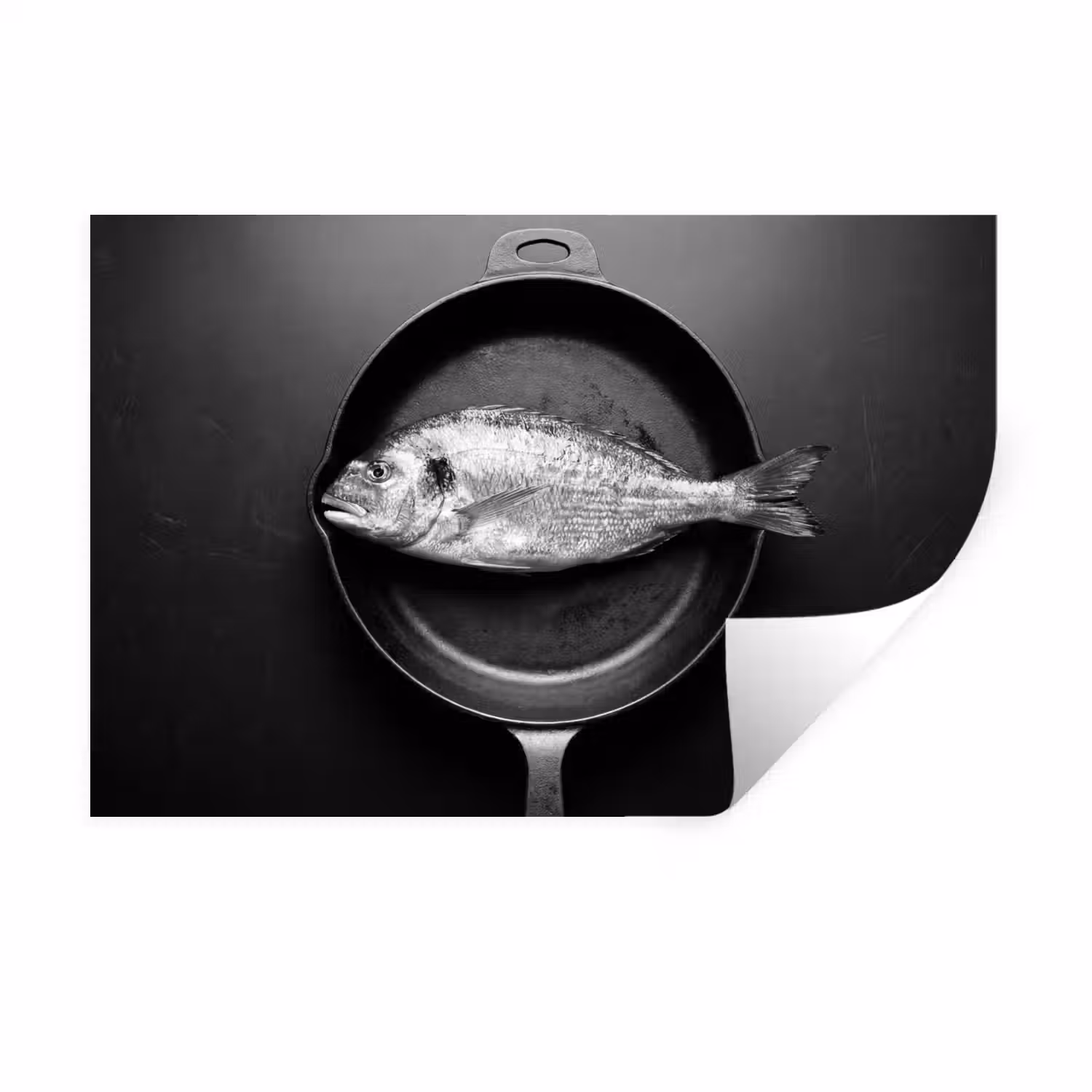 Pan - Vis - Zwart - Wit Muursticker klein -3d
