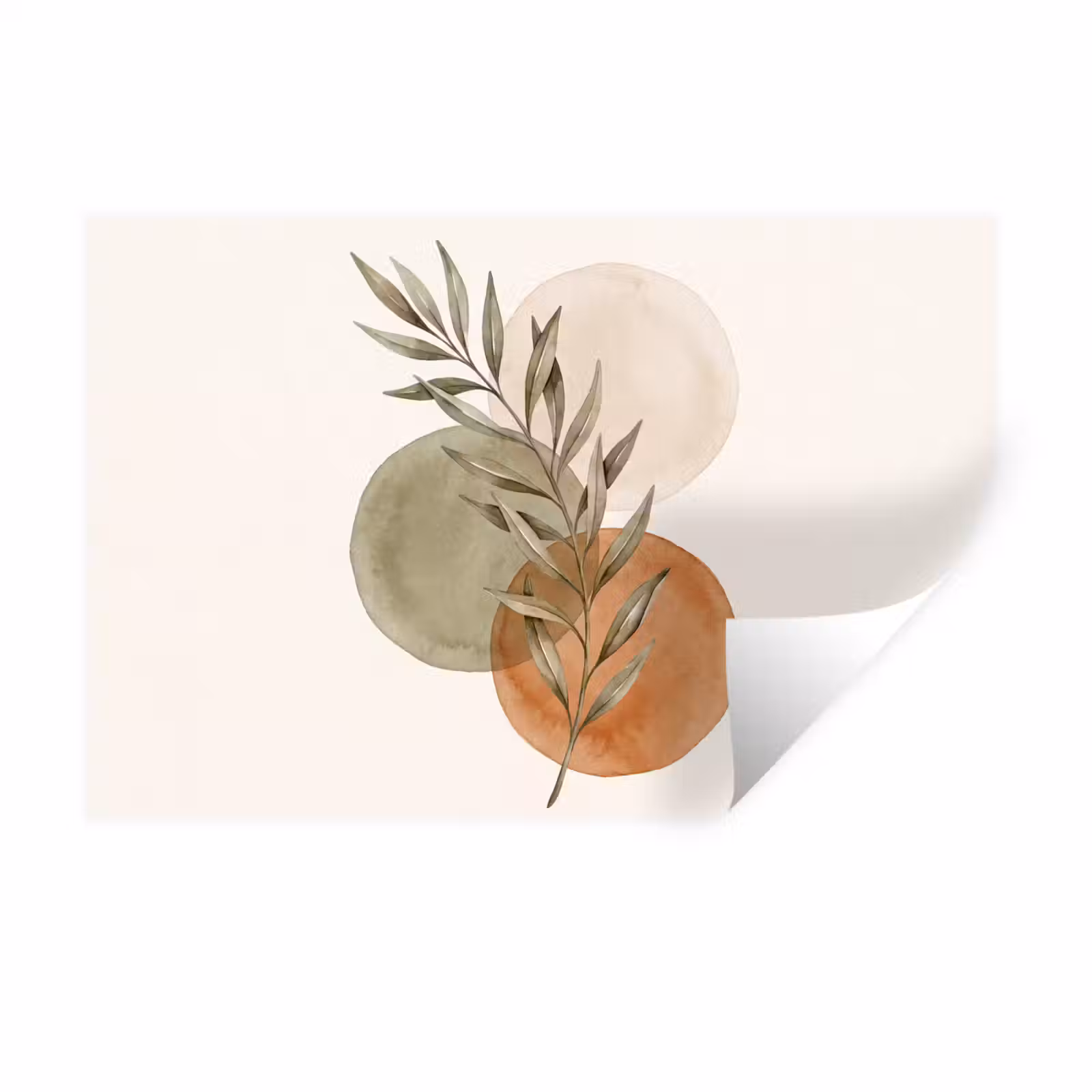 Wall Sticker - Plant - Circles - Abstract - Plant - Cirkels - Abstract Muursticker klein