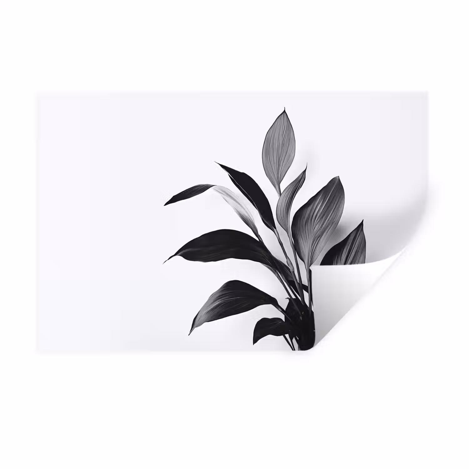 Plant - Bladeren - Minimalistisch - Zwart Muursticker klein -3d