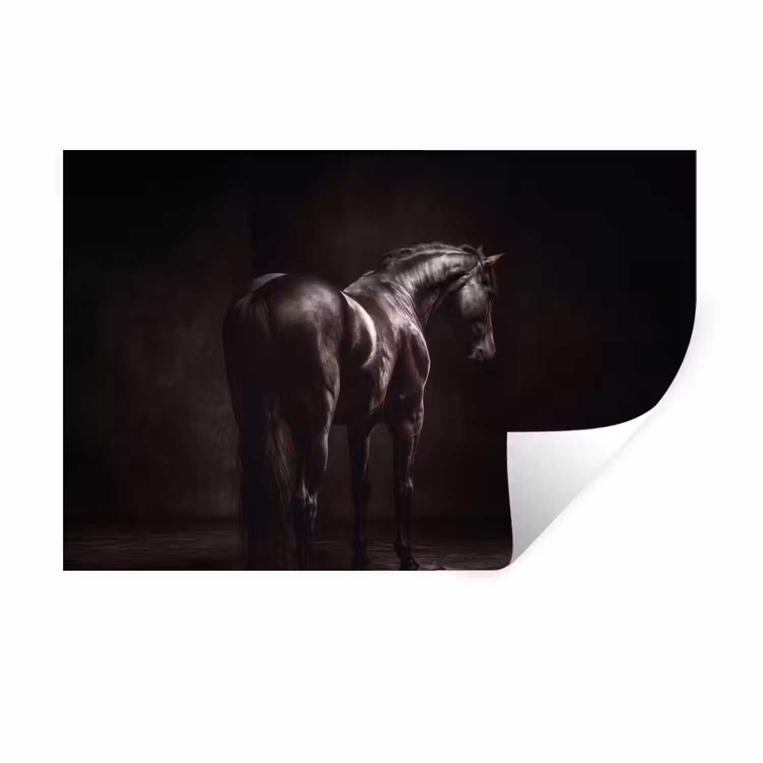 Krachtig - Paard - Donker Muursticker klein -3d