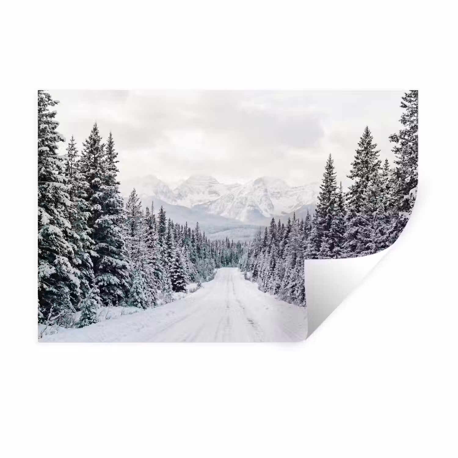 Weg - Sneeuw - Naaldbos - Winter - Avontuurlijk Muursticker klein -3d