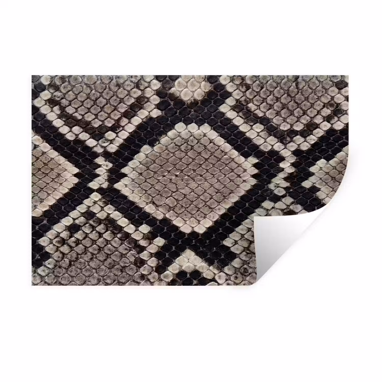 Slangenleer - Patroon - Beige Muursticker klein -3d