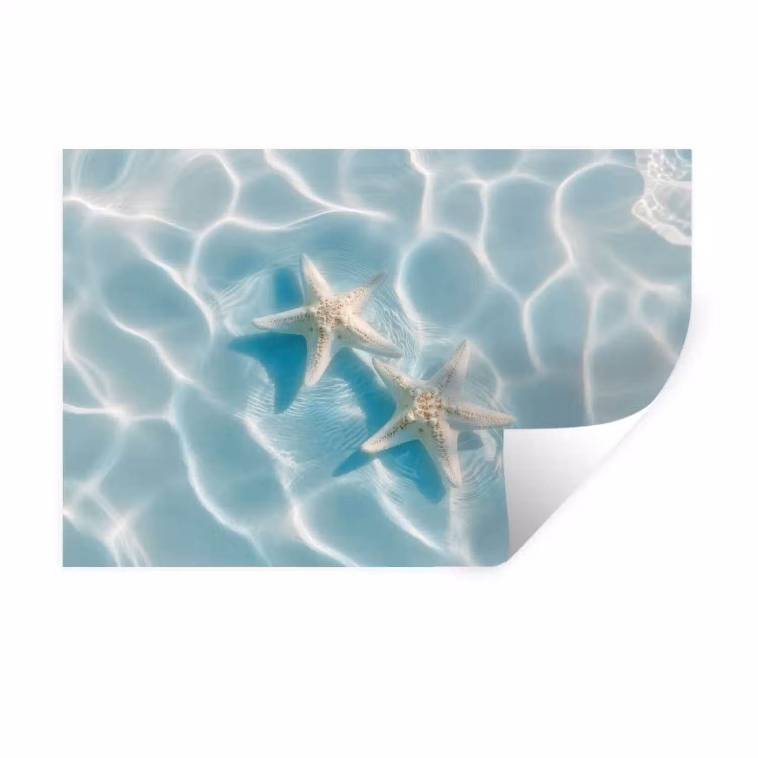 Zeesterren - Golvend water - Rustgevend Muursticker klein -3d