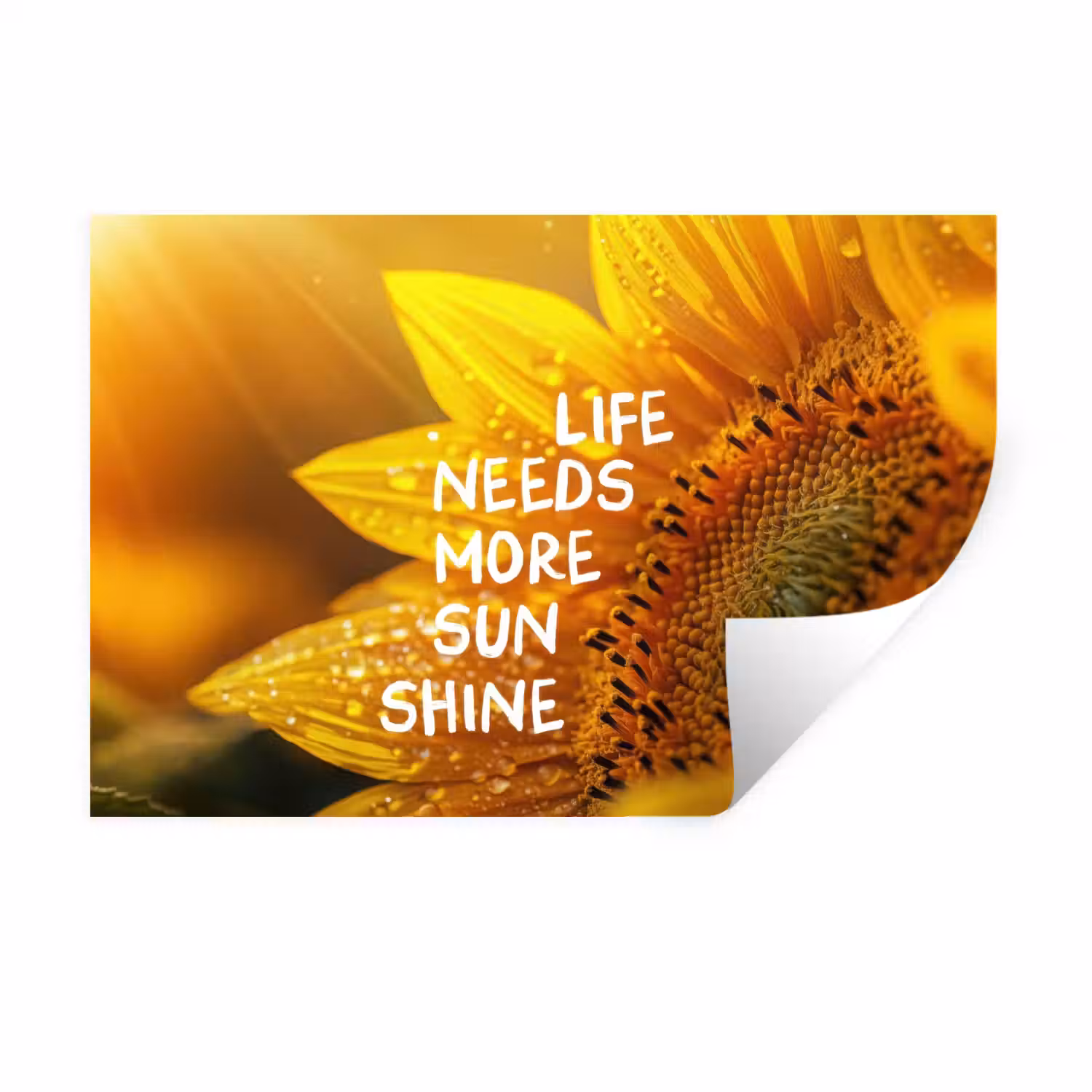 Zonnebloem - Close up - Geel - Quote Muursticker klein -3d