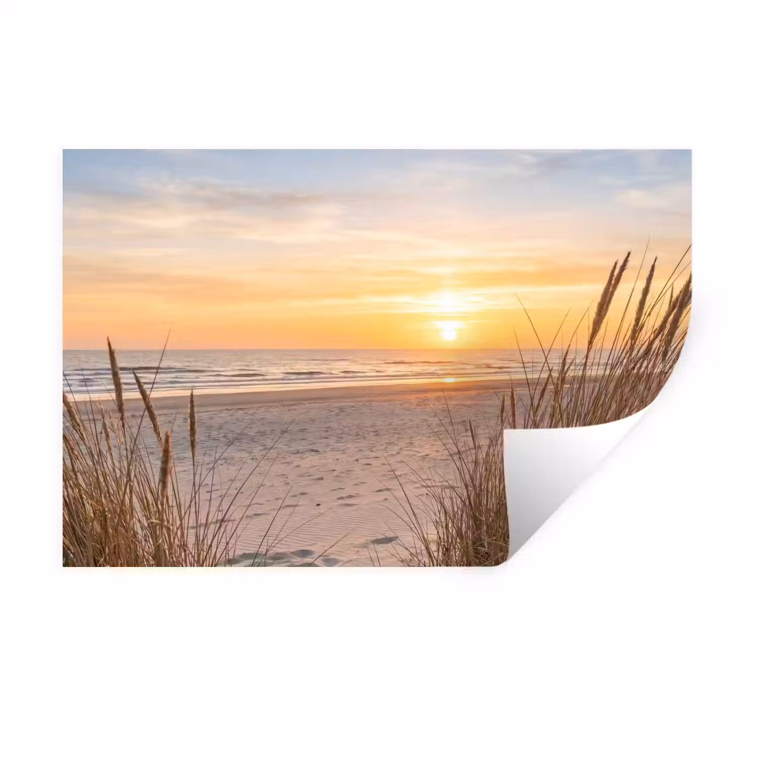 Zonsondergang - Duinen - Zee Muursticker klein -3d