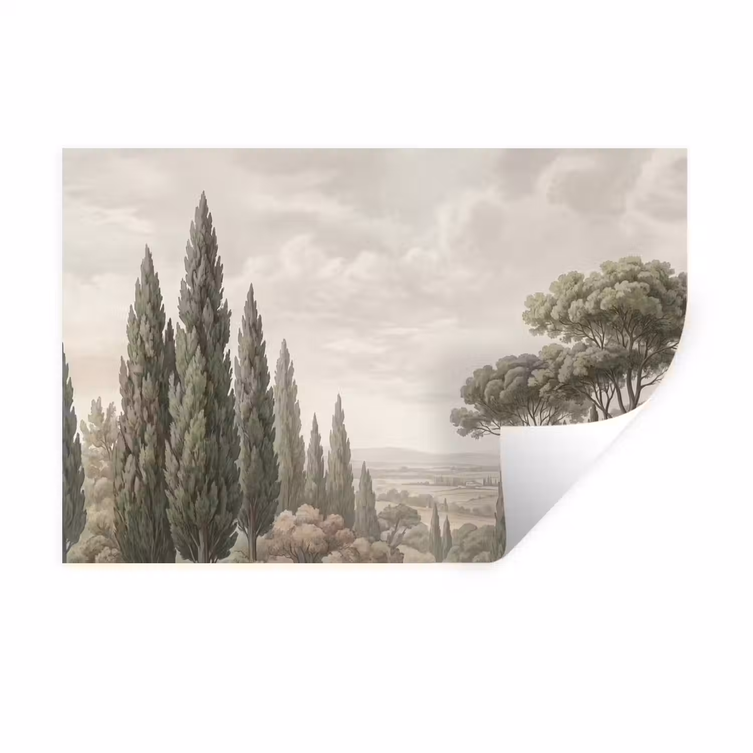 Vallei - Bos - Natuur - Groen Muursticker klein -3d