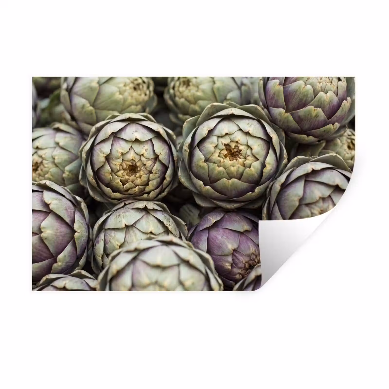 Wall Sticker - Vegetables - Fresh - Food - Groenten - Vers - Eten Muursticker klein
