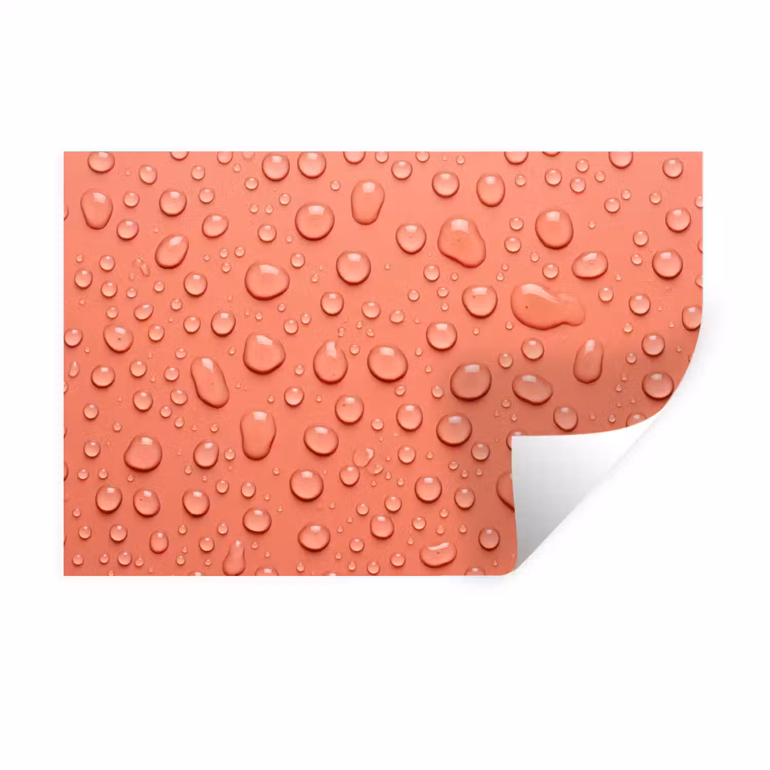 Water - Druppels - Roze Muursticker klein -3d