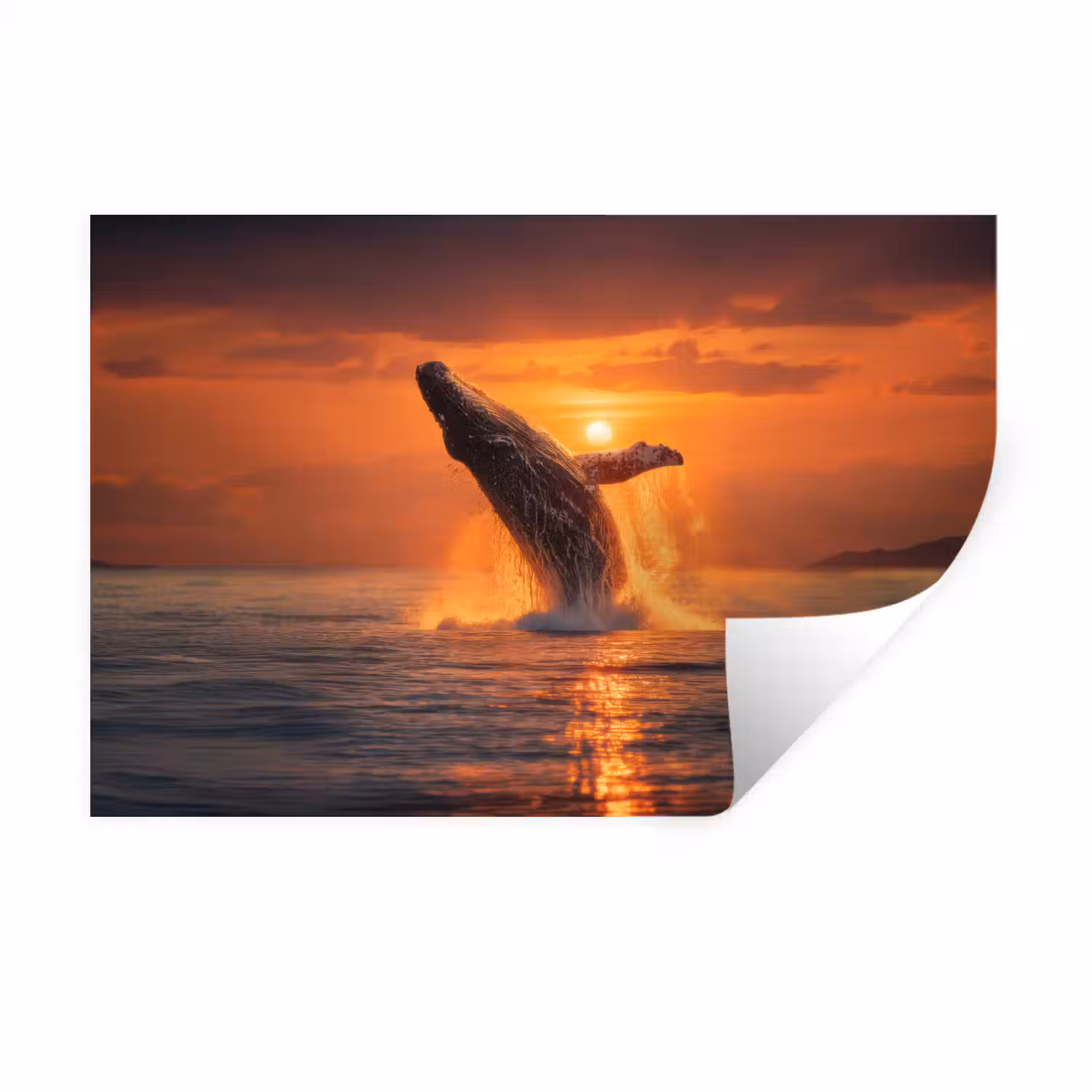 Walvis - Zon - Zee Muursticker klein -3d