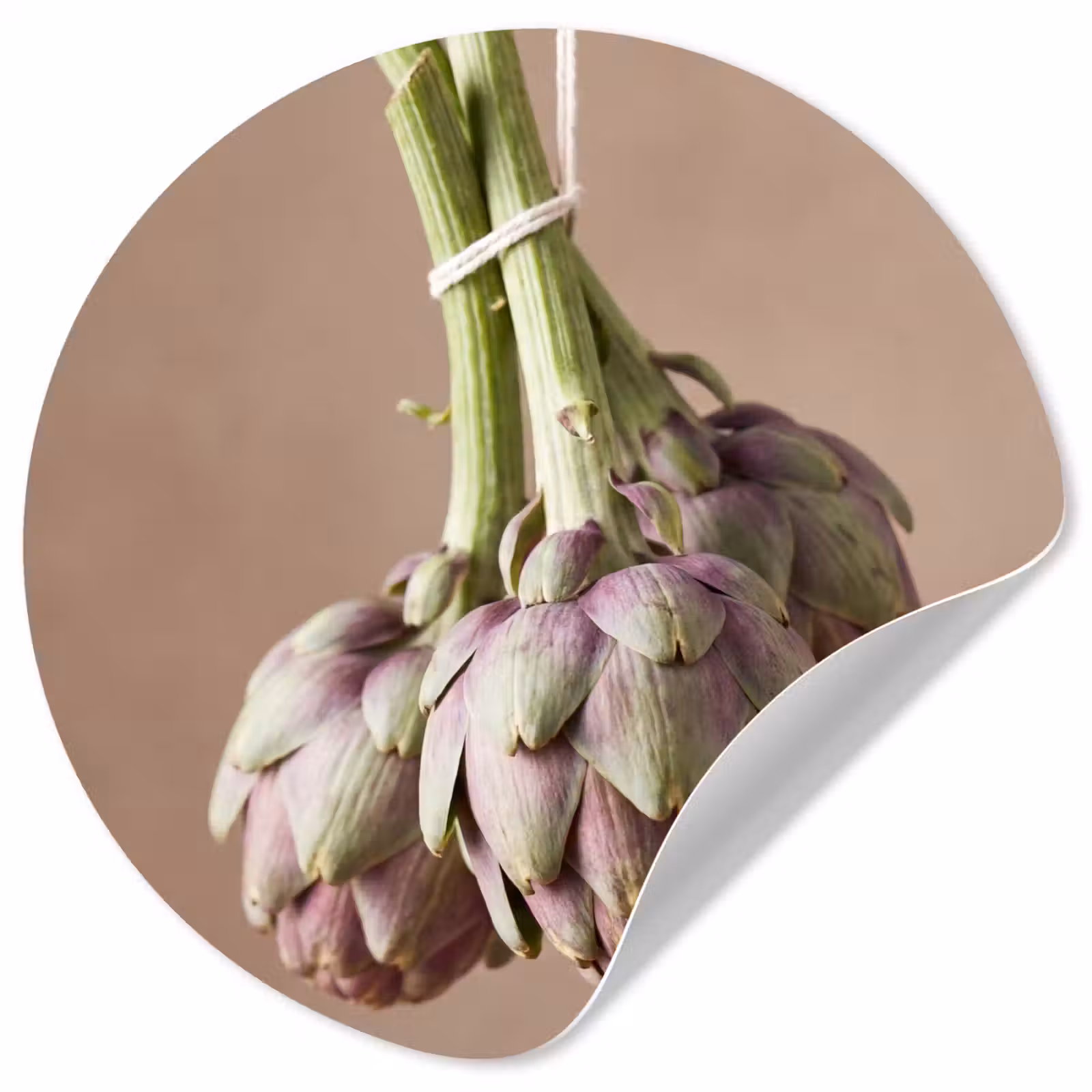 Wallpaper Circle - Artichokes - Hanging - Vegetables - Artisjokken - Hangend - Groenten Wandcirkel behangsticker klein