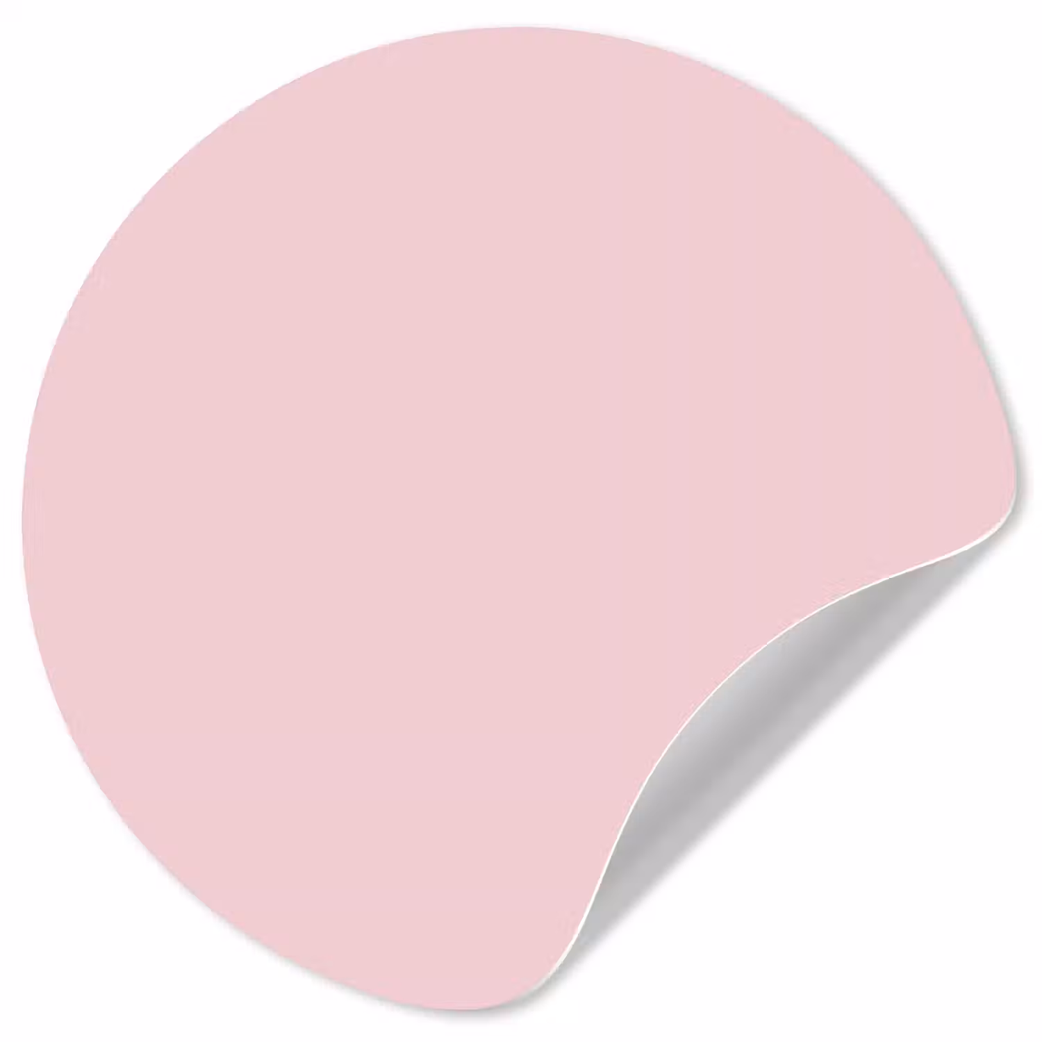Blush - Pink - Roze Wandcirkel behangsticker klein 186 -3d