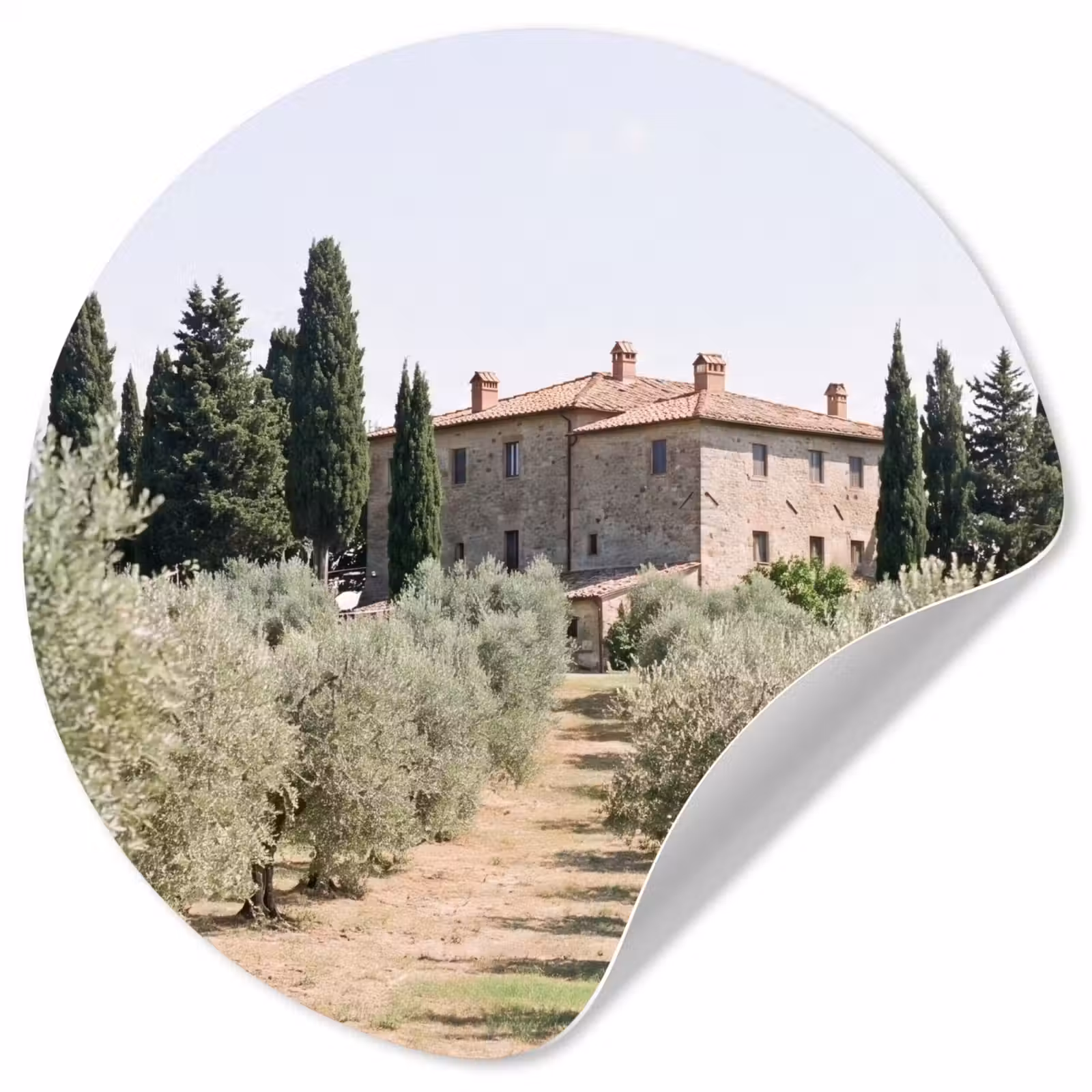 Wallpaper Circle - Country house - olive tree - orchard - Landhuis - olijfboom - gaard Wandcirkel behangsticker klein