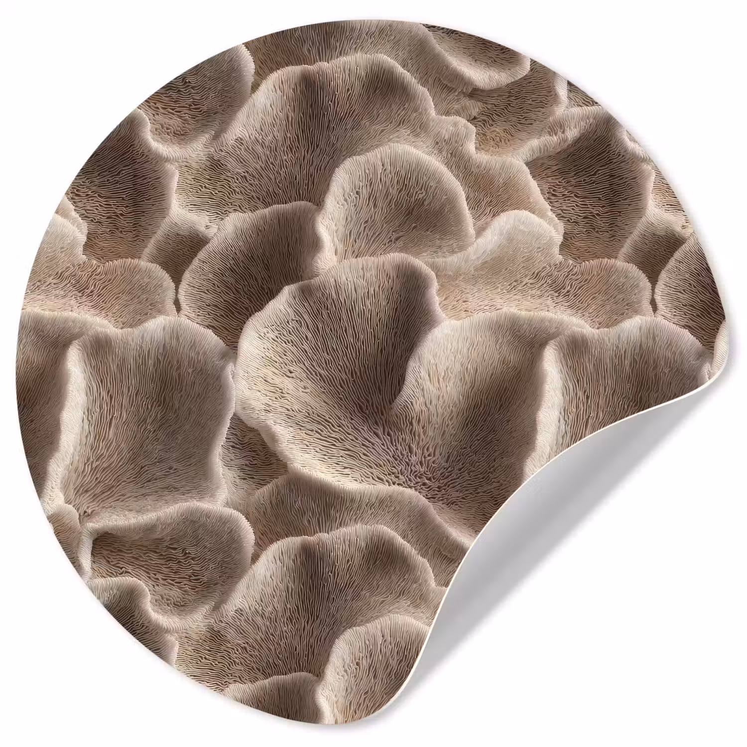 Waaiervorm - Beige - Vezel textuur Wandcirkel behangsticker klein 186 -3d