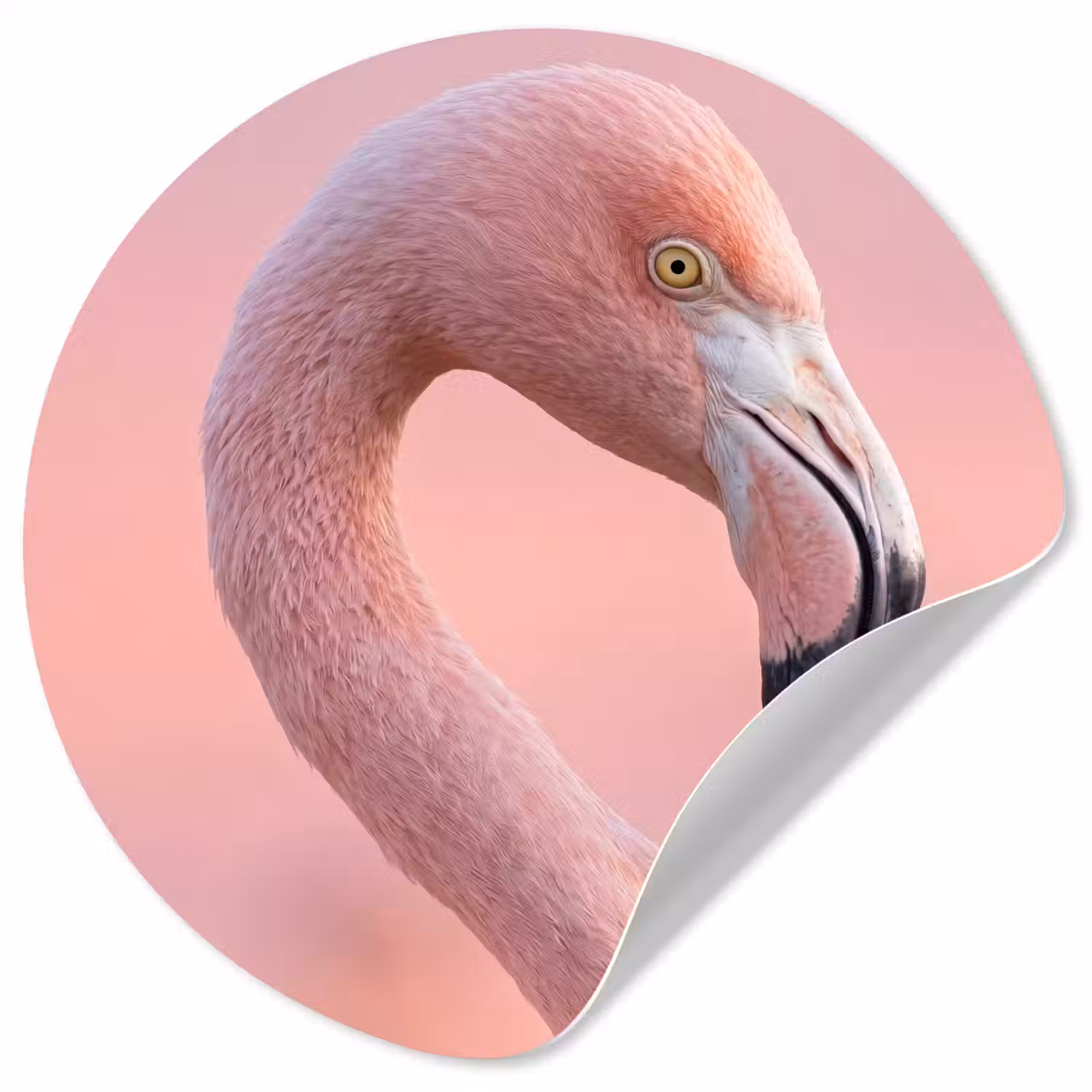 Flamingo - Portret - Roze Wandcirkel behangsticker klein -3d