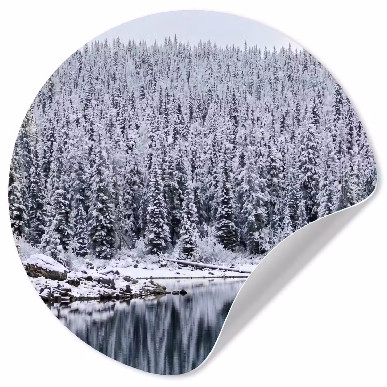 Bos - Reflectie - Meer - Winter - Serene Wandcirkel behangsticker klein -3d