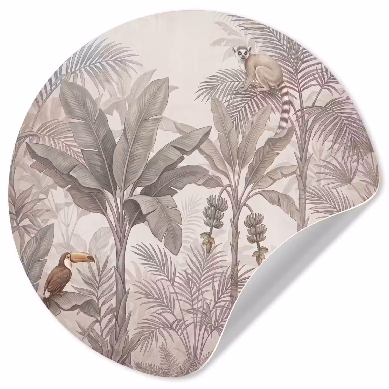 Natuur - Jungle - Ringstaartmaki - Bruin Wandcirkel behangsticker klein -3d