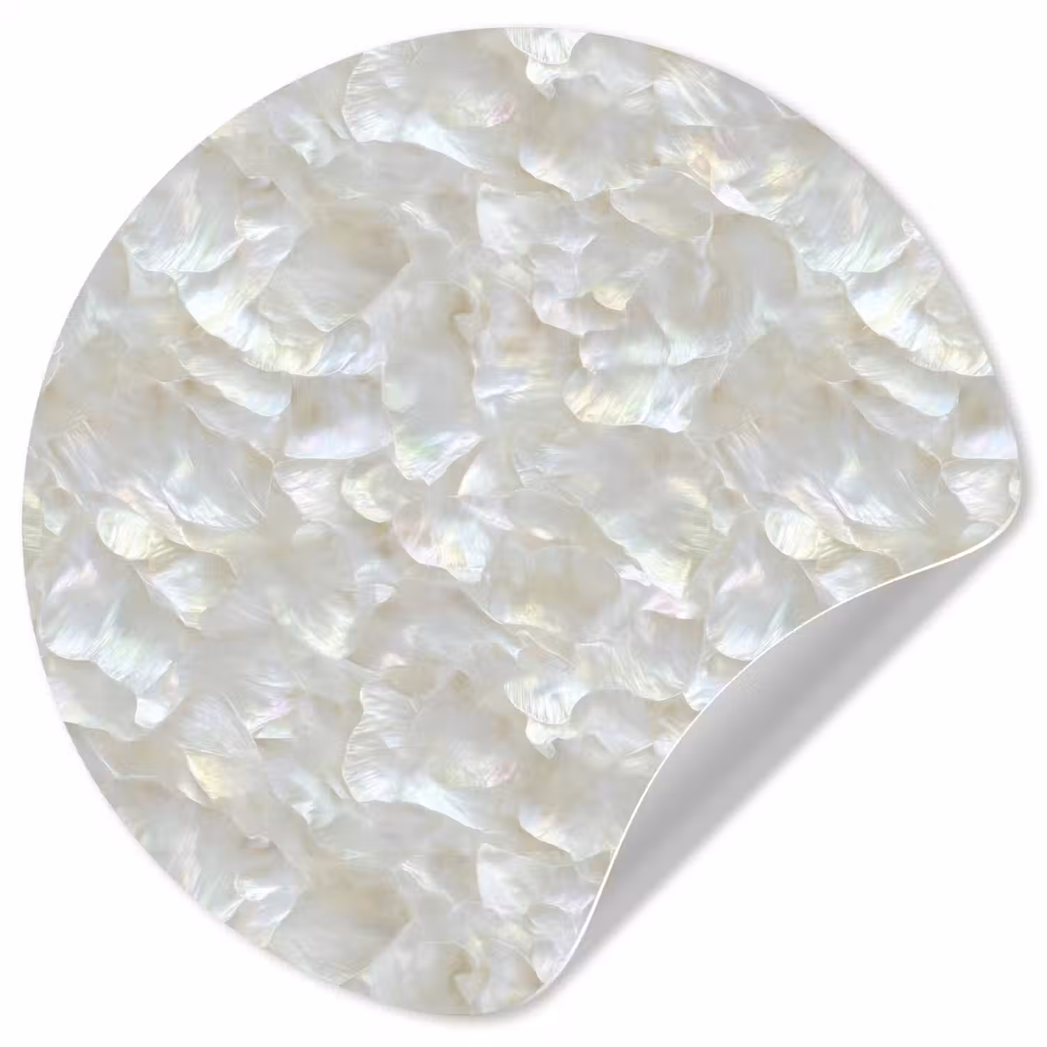 Parelmoerglans - Wit - Schelp Wandcirkel behangsticker klein 186 -3d