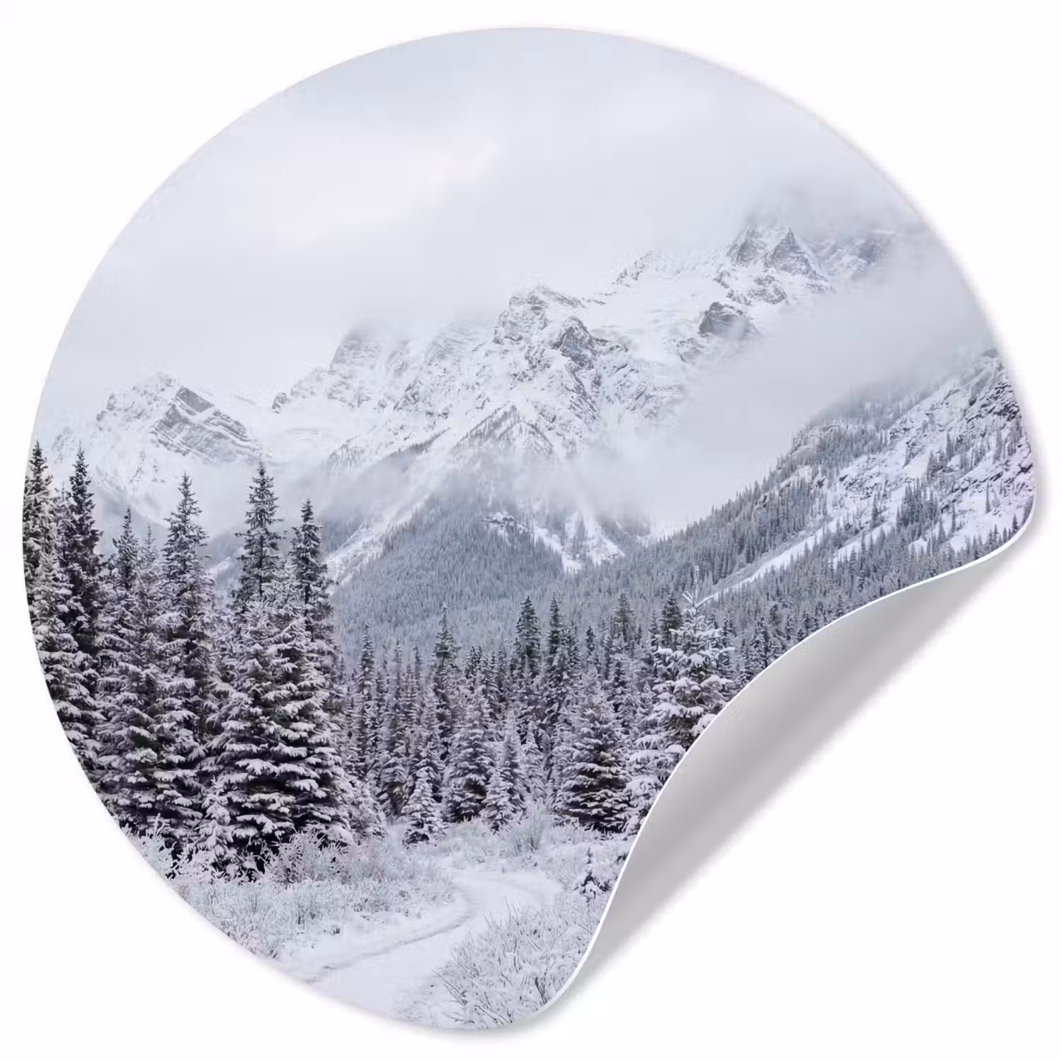 Weg - Bergen - Sneeuw - Naaldbos - Avontuurlijk Wandcirkel behangsticker klein -3d