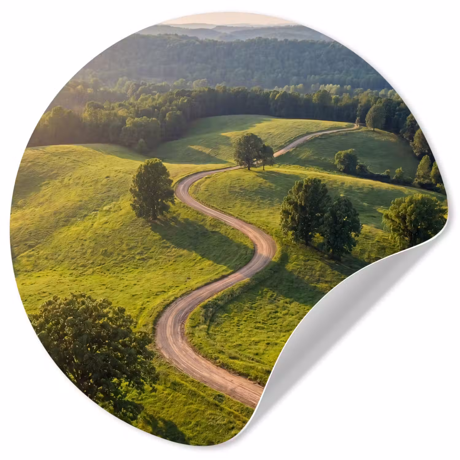 Weg - Weide - Natuur - Groen Wandcirkel behangsticker klein -3d