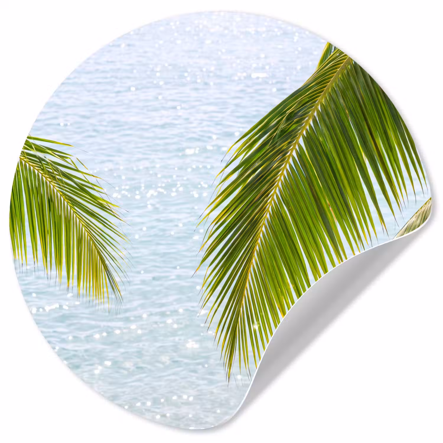 Boom - Bladeren - Water - Tropisch - Groen Wandcirkel behangsticker klein -3d