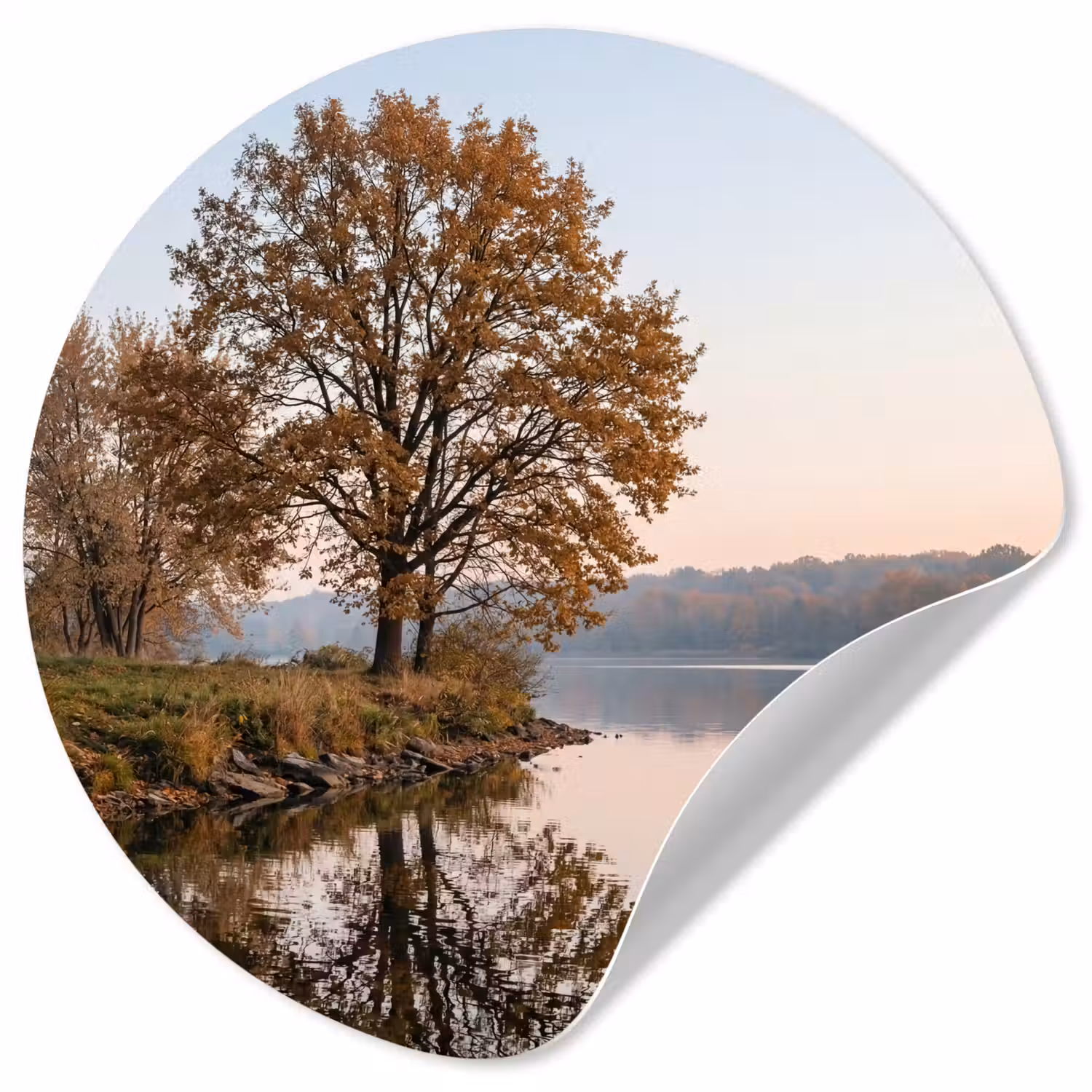 Bomen - Reflectie - Water - Zonsopgang - Serene Wandcirkel behangsticker klein -3d