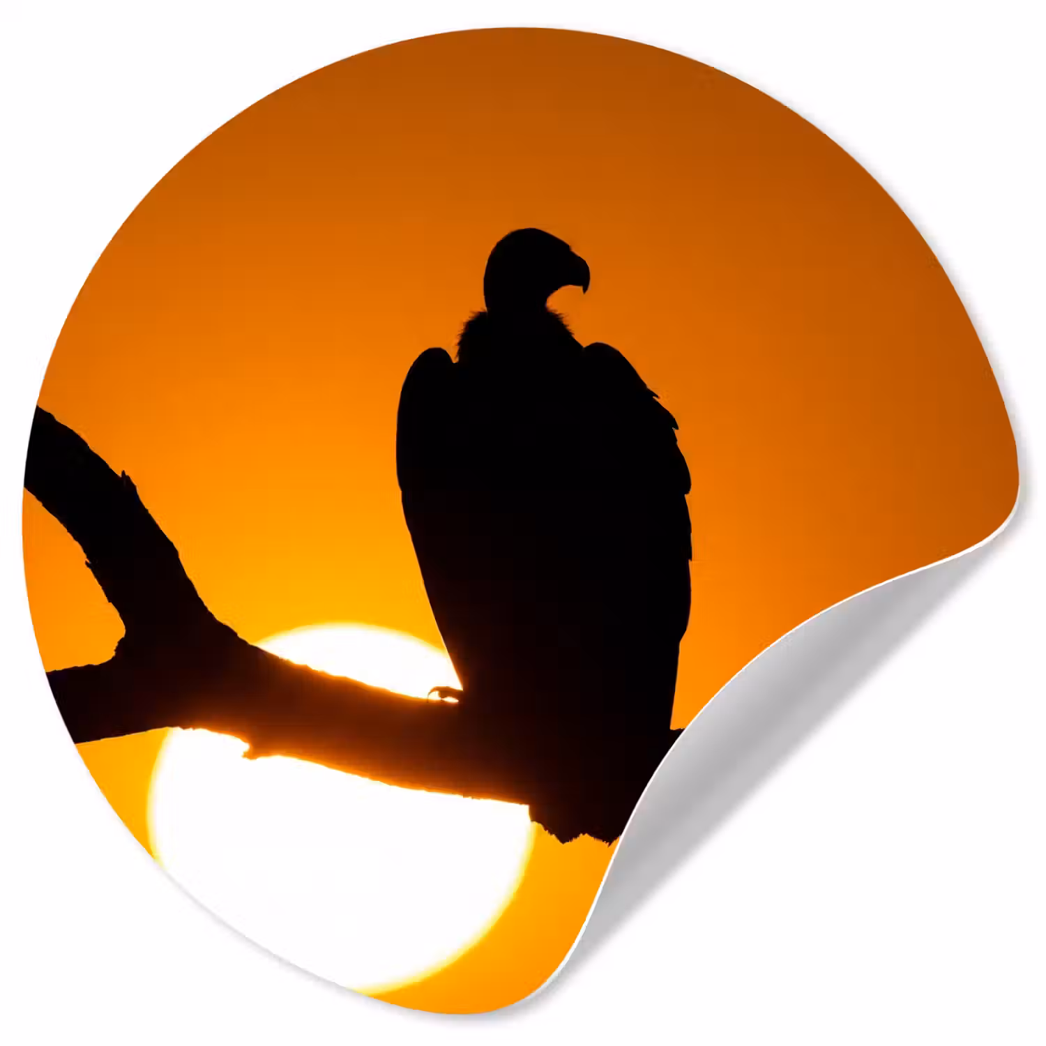 Gier - Tak - Zon - Oranje Wandcirkel behangsticker klein -3d