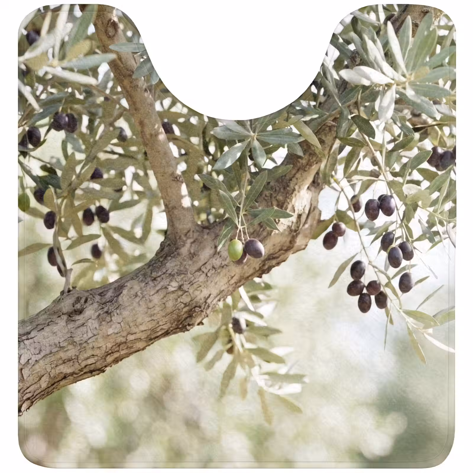 WC Mat - Olive tree - branch - green - Olijfboom - tak - groen WCmat U-uitsnede middel