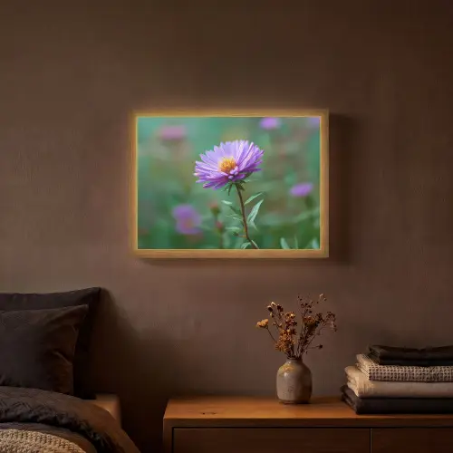 Aster - Paars - Bloem - Blaadjes Light Box met batterij (Wandlamp) middel -sfeer4