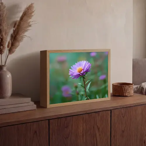 Aster - Paars - Bloem - Blaadjes Light Box met batterij (Wandlamp) middel -sfeer2