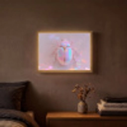 Kever - Metallic - Lichteffect - Roze Light Box met batterij (Wandlamp) middel -sfeer4